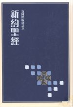 直排 新國際版研讀本新約聖經